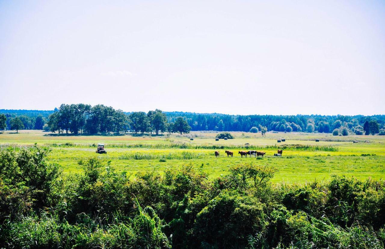 Zwirowa Gora - Domki Nad Narwia Tykocin Exteriér fotografie